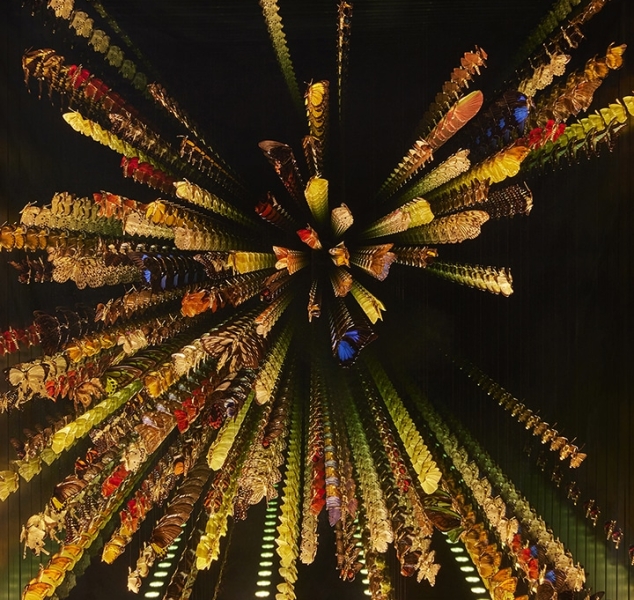 Infinite Butterflies: Hundreds & Thousands by Jocelyn Marsh for COUP STUDIO